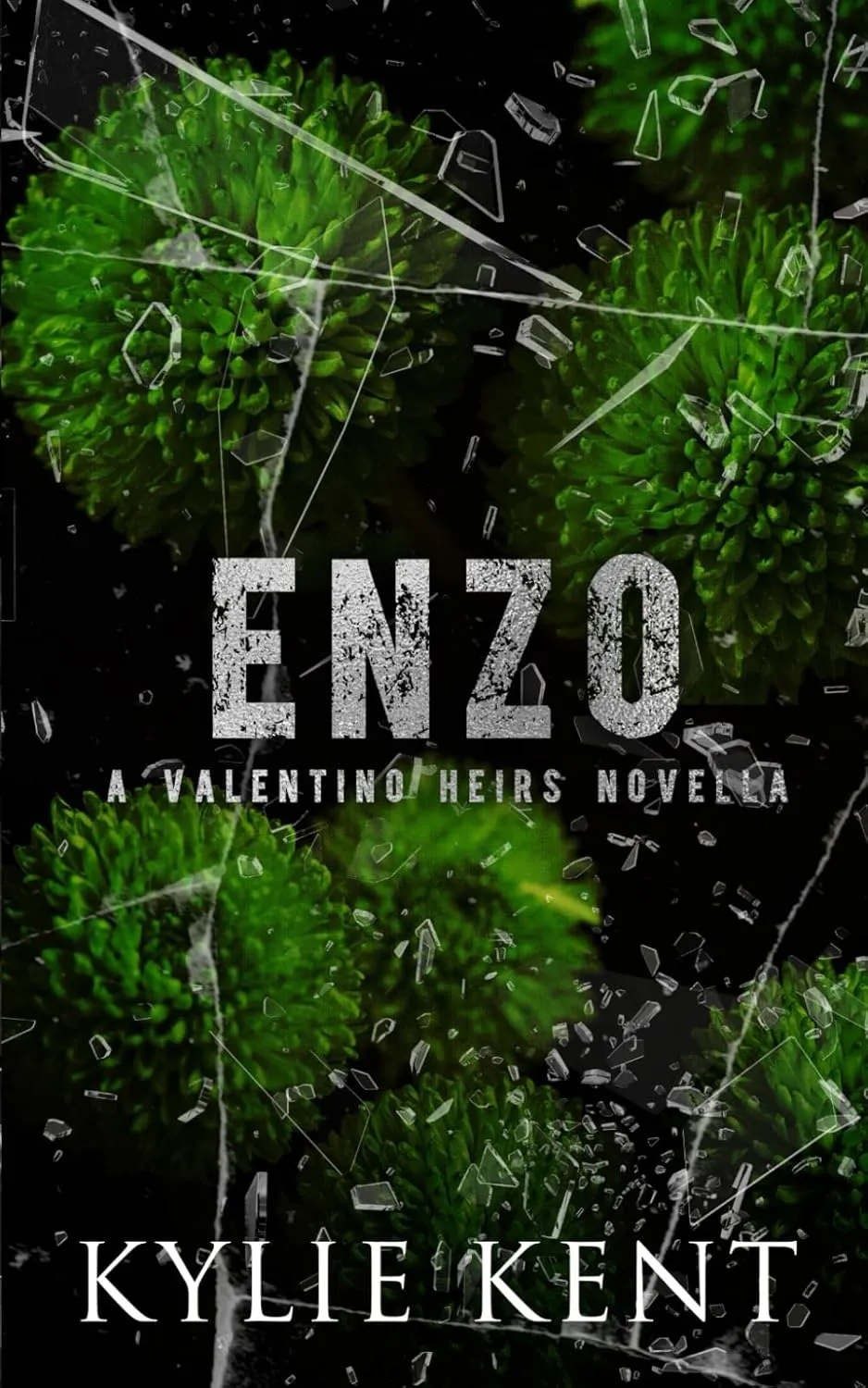 Enzo (Valentino Heirs) Paperback  January 24, 2025