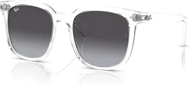 Ray-Ban RB4401D Square Sunglasses for Men for Women   BUNDLE With Designer iWear Complimentary Eyewear Kit